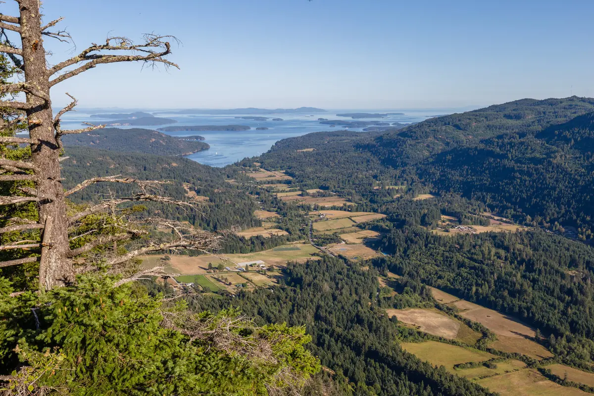 Forest view from Baynes Peak, Salt Spring Island